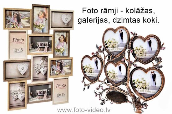 Kolāžas, galerijas, dzimtas koki